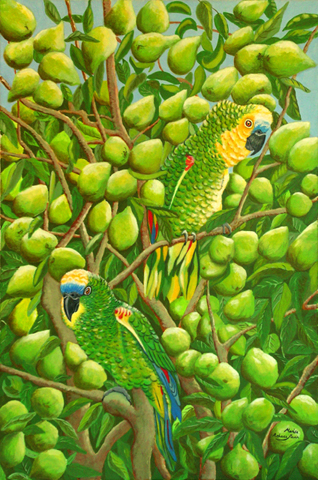 Parrots1